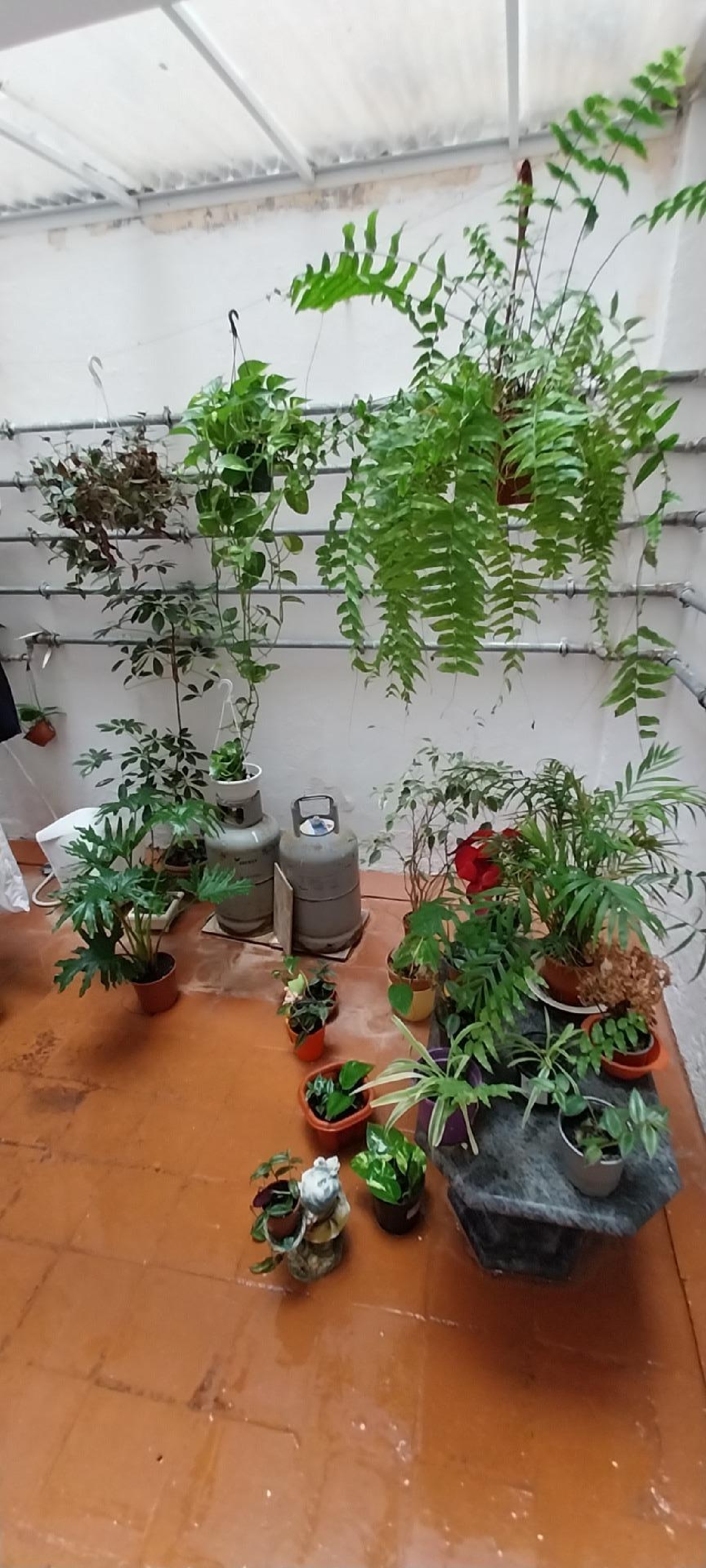  kaufen Wohnung San Cristóbal De La Laguna Centro 38201 Zona Metropolitana 7