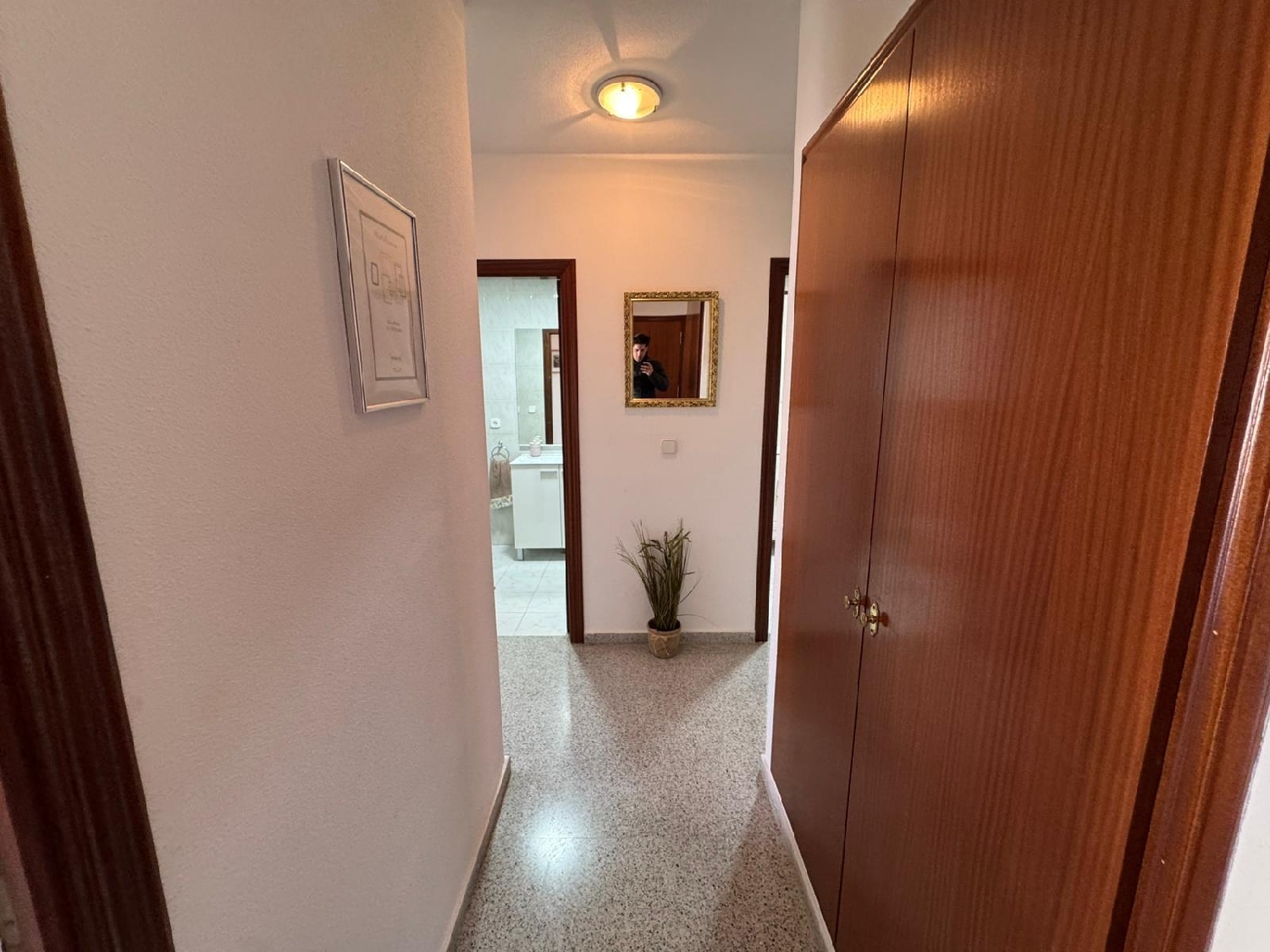  en venta apartamento San Miguel De Salinas Baix Segura 3