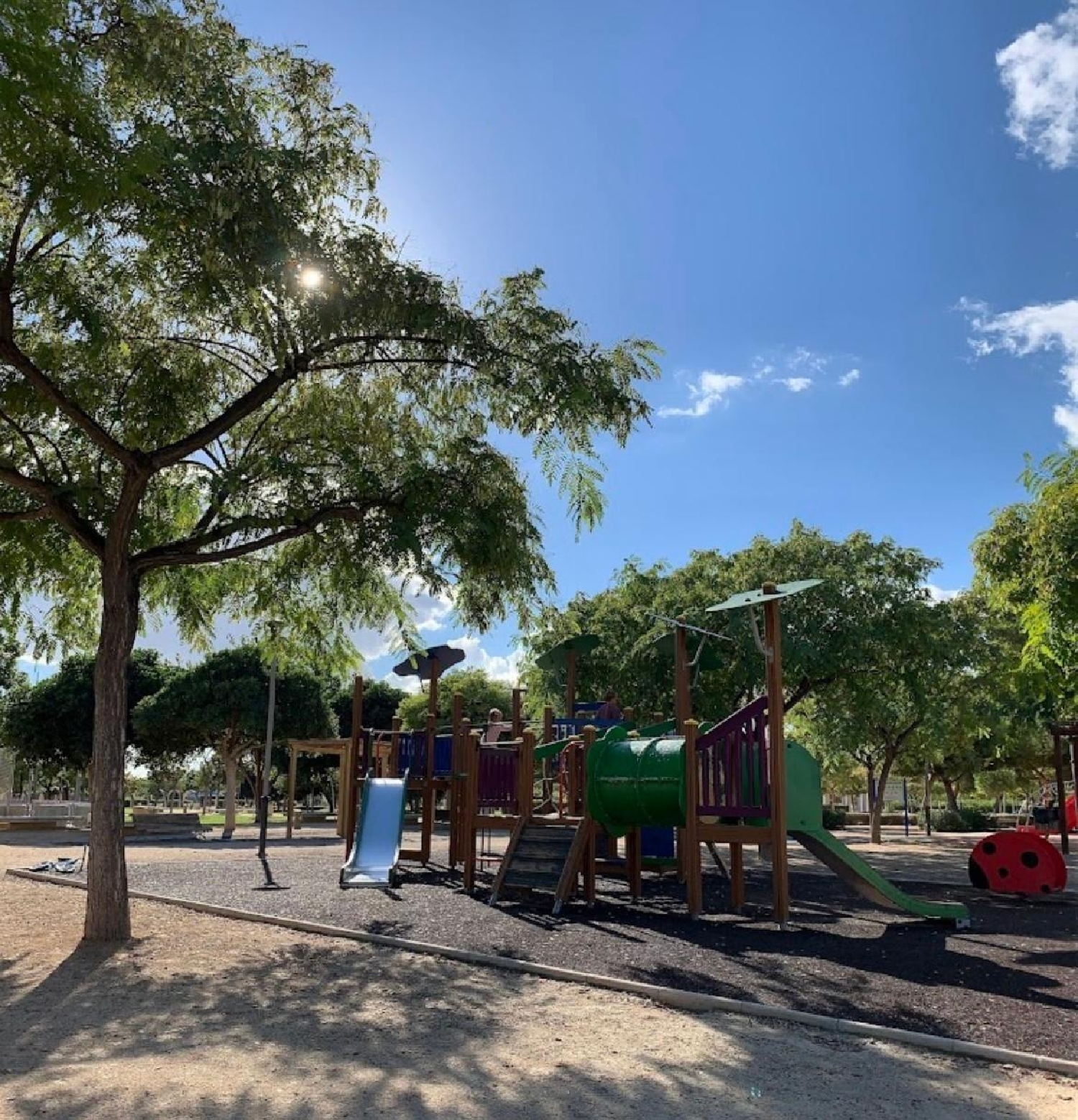  for sale apartment San Vicente Del Raspeig Alacantí 4