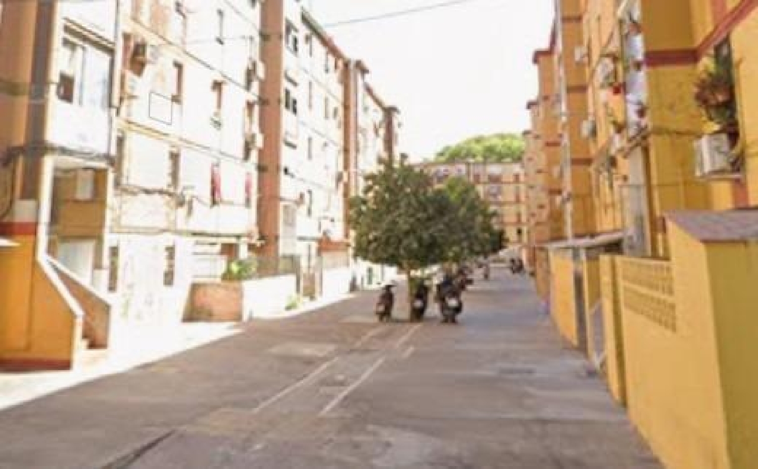  te koop appartement Sevilla La Nueva Sur 1