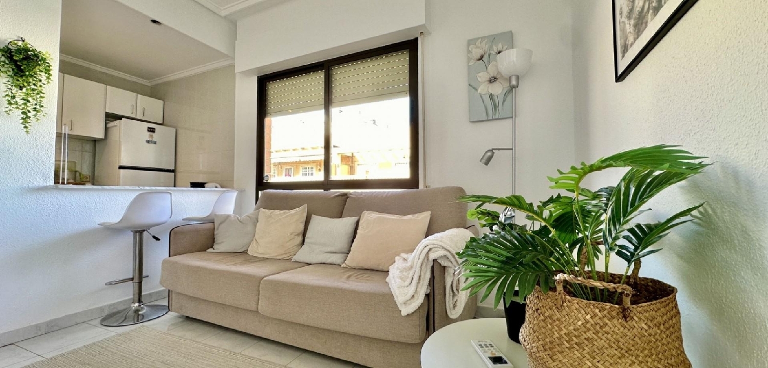 kaufen Wohnung Torrevieja Baix Segura 2