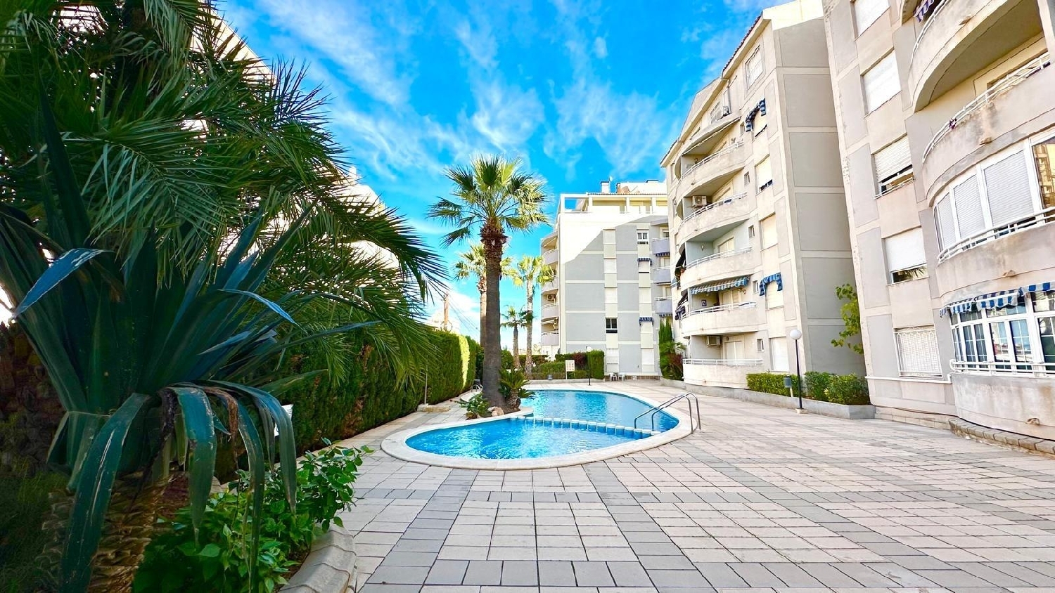  te koop appartement Torrevieja Baix Segura 3