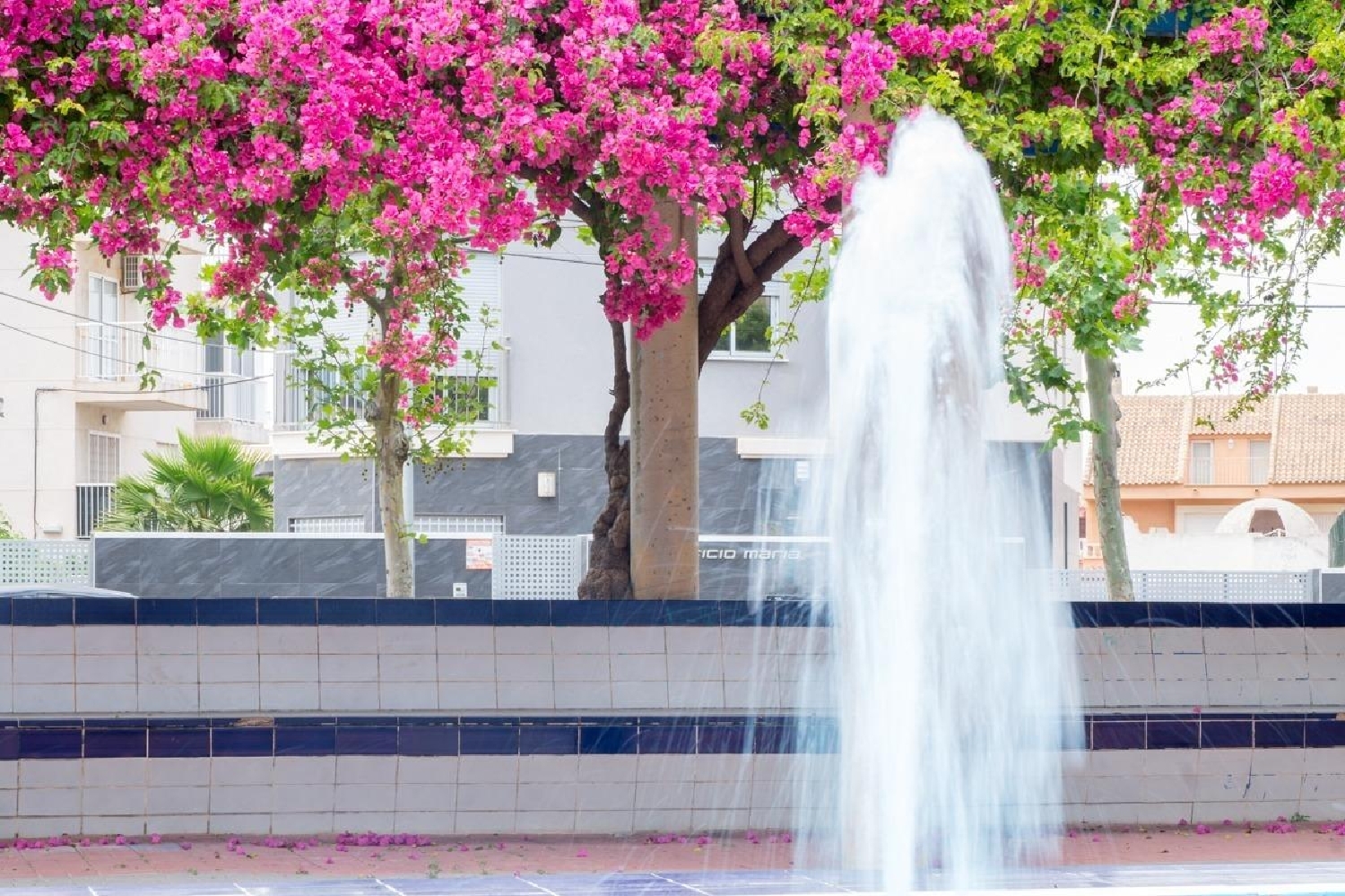  kaufen Wohnung Torrevieja Baix Segura 3