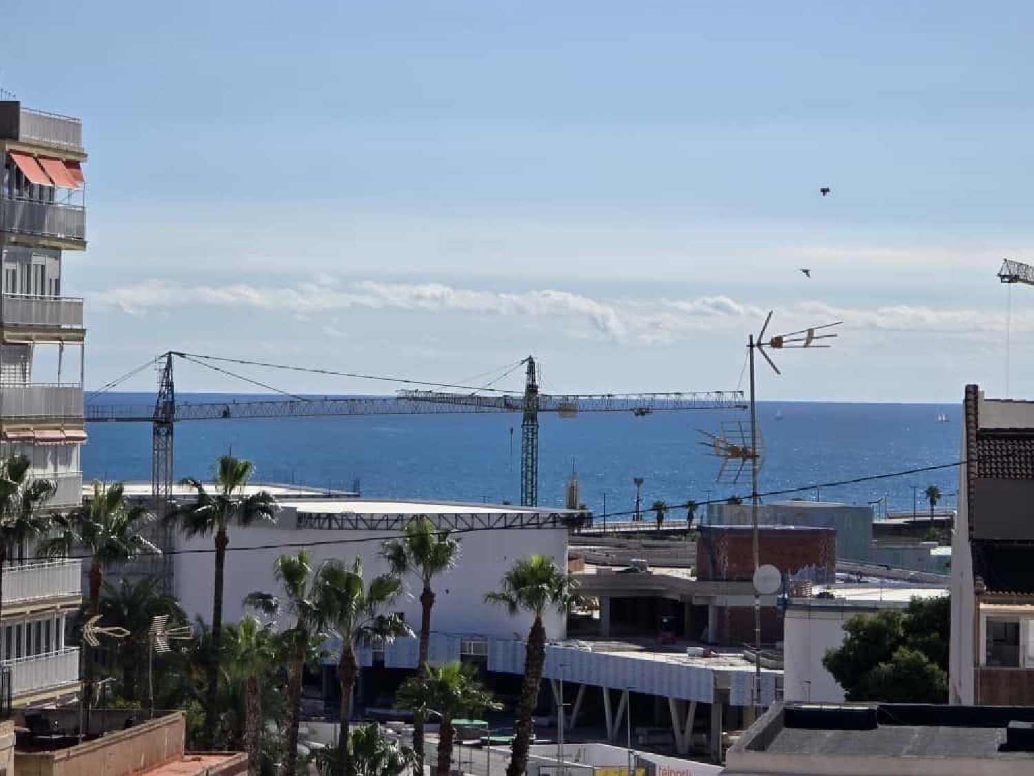  en venta apartamento Torrevieja Baix Segura 2