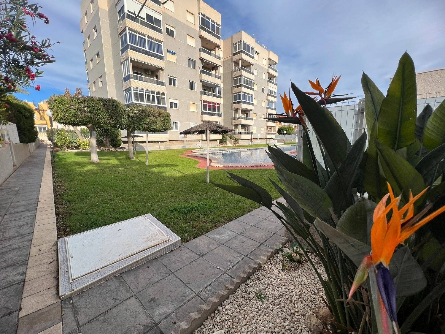  en venta apartamento Torrevieja Baix Segura 3