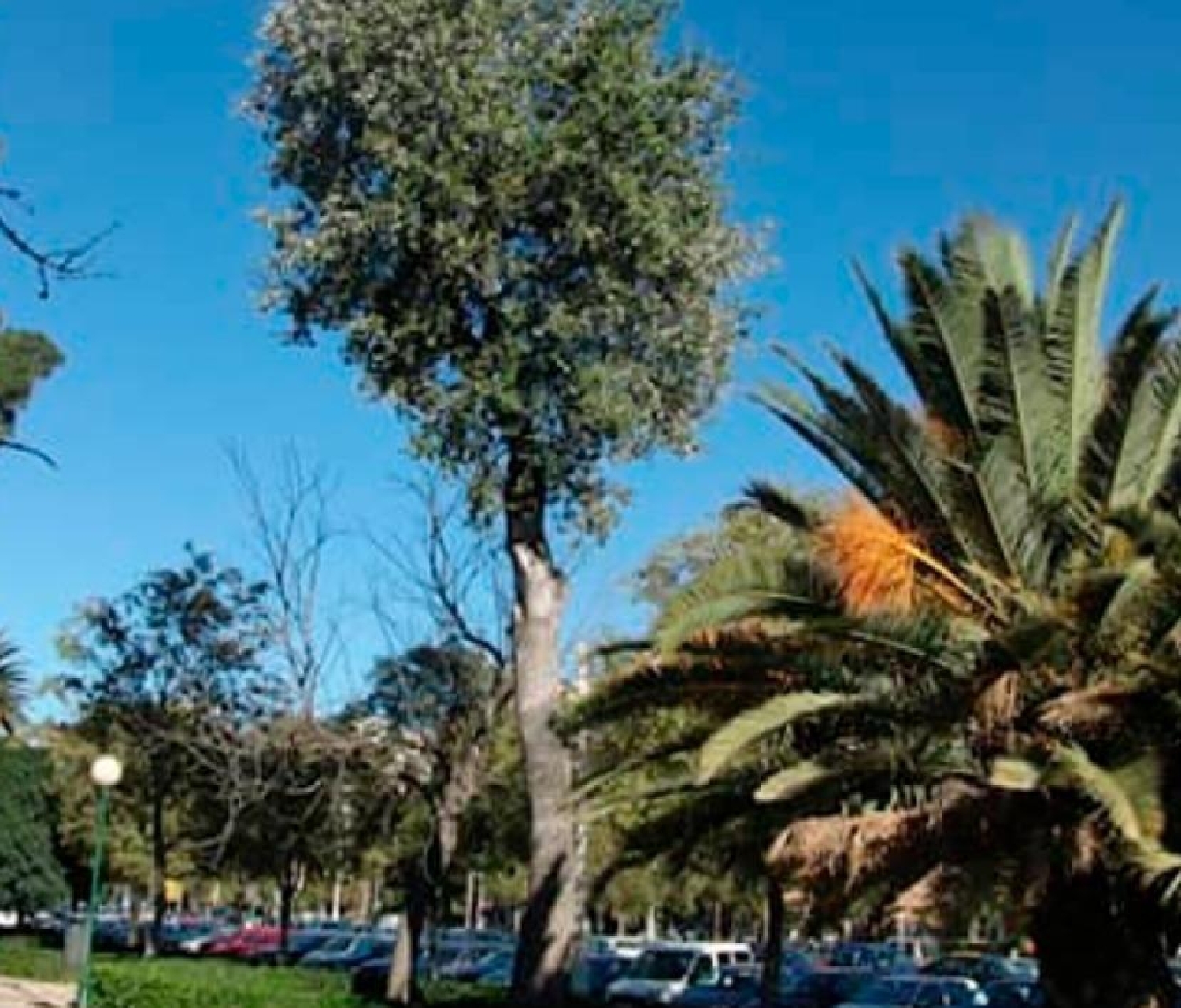  en venta apartamento Valencia De Las Torres Campiña Sur 5