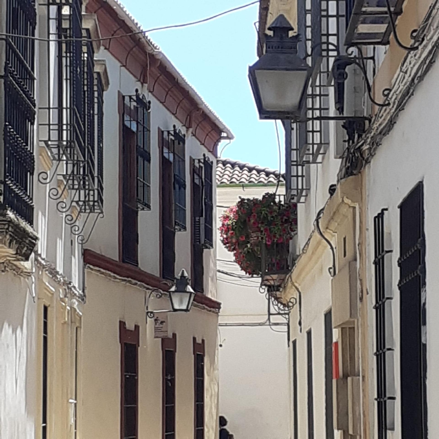  kaufen Wohnung Villafranca De Córdoba Alto Guadalquivir 1