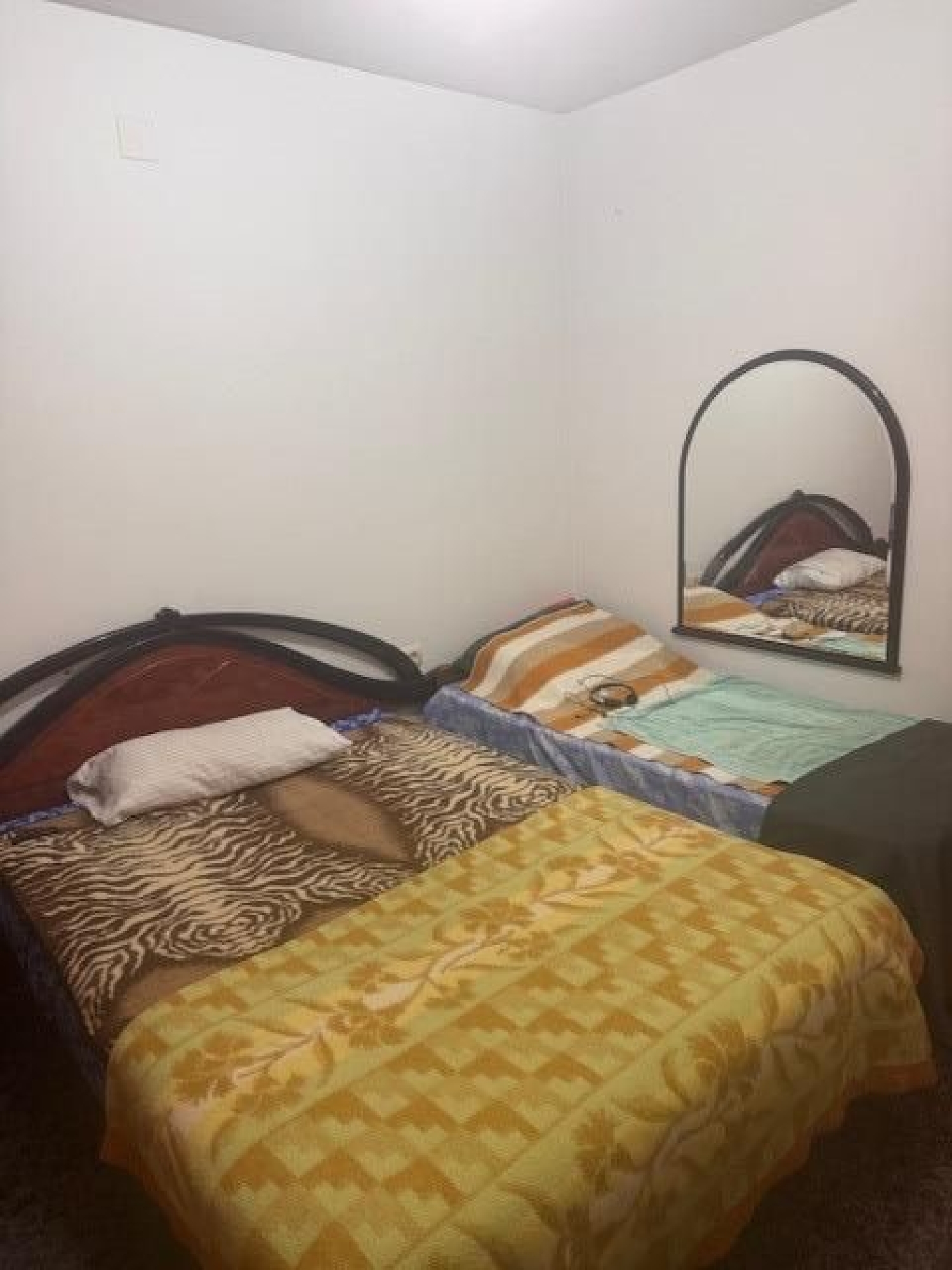  kaufen Gebäude Piedrabuena Montes 5