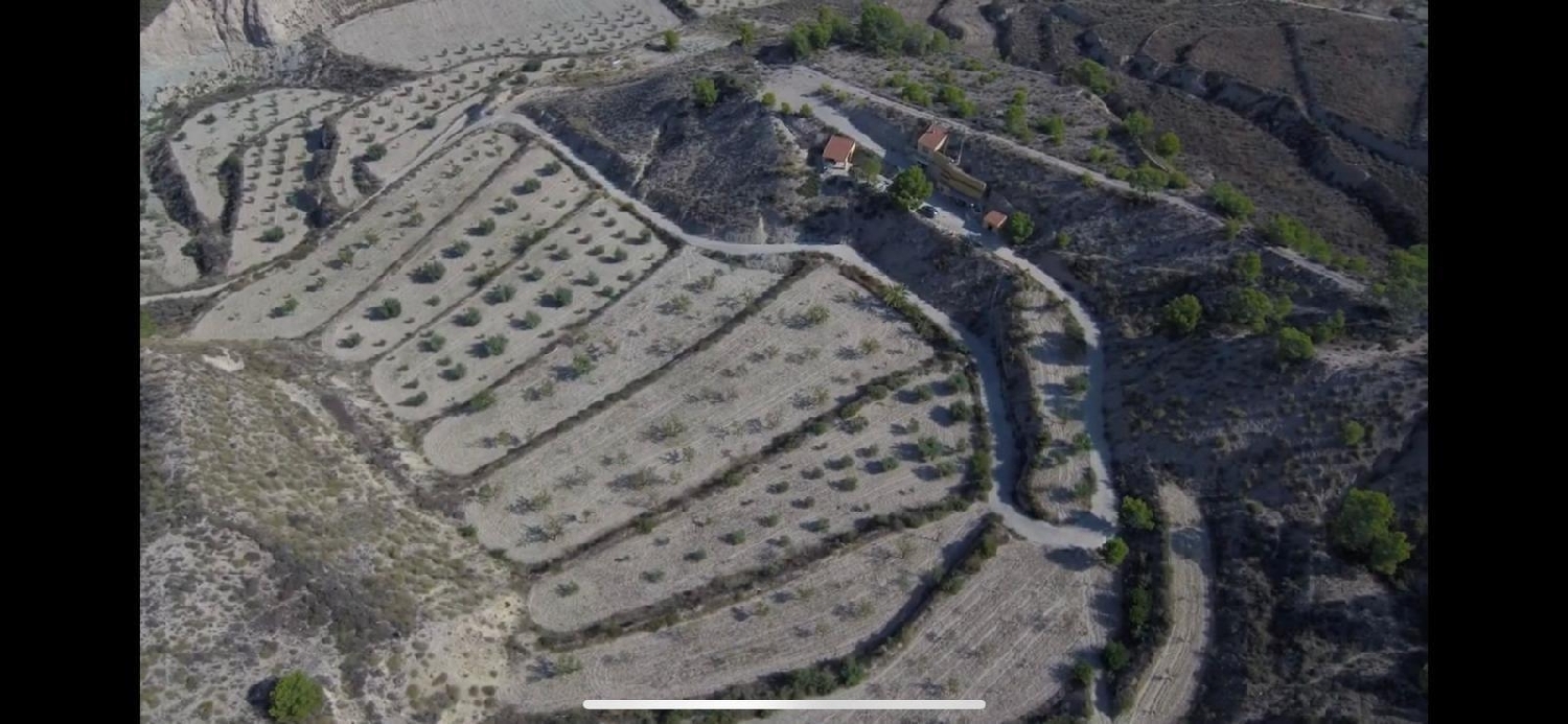  en venta finca rústica Abanillas Costa Occidental 6