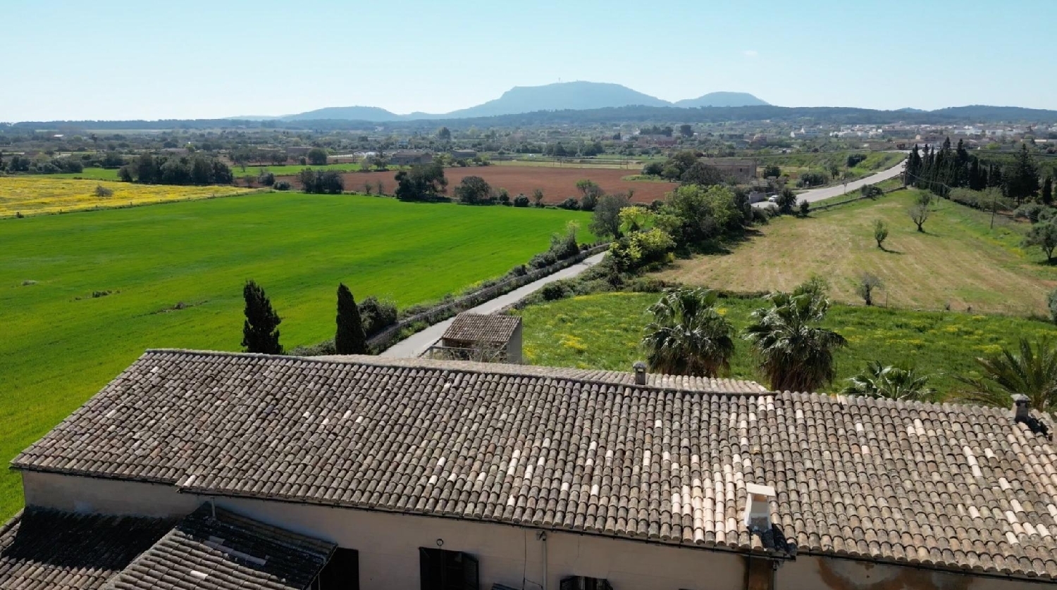  kaufen Landhaus Algaida Pla (Es) 6