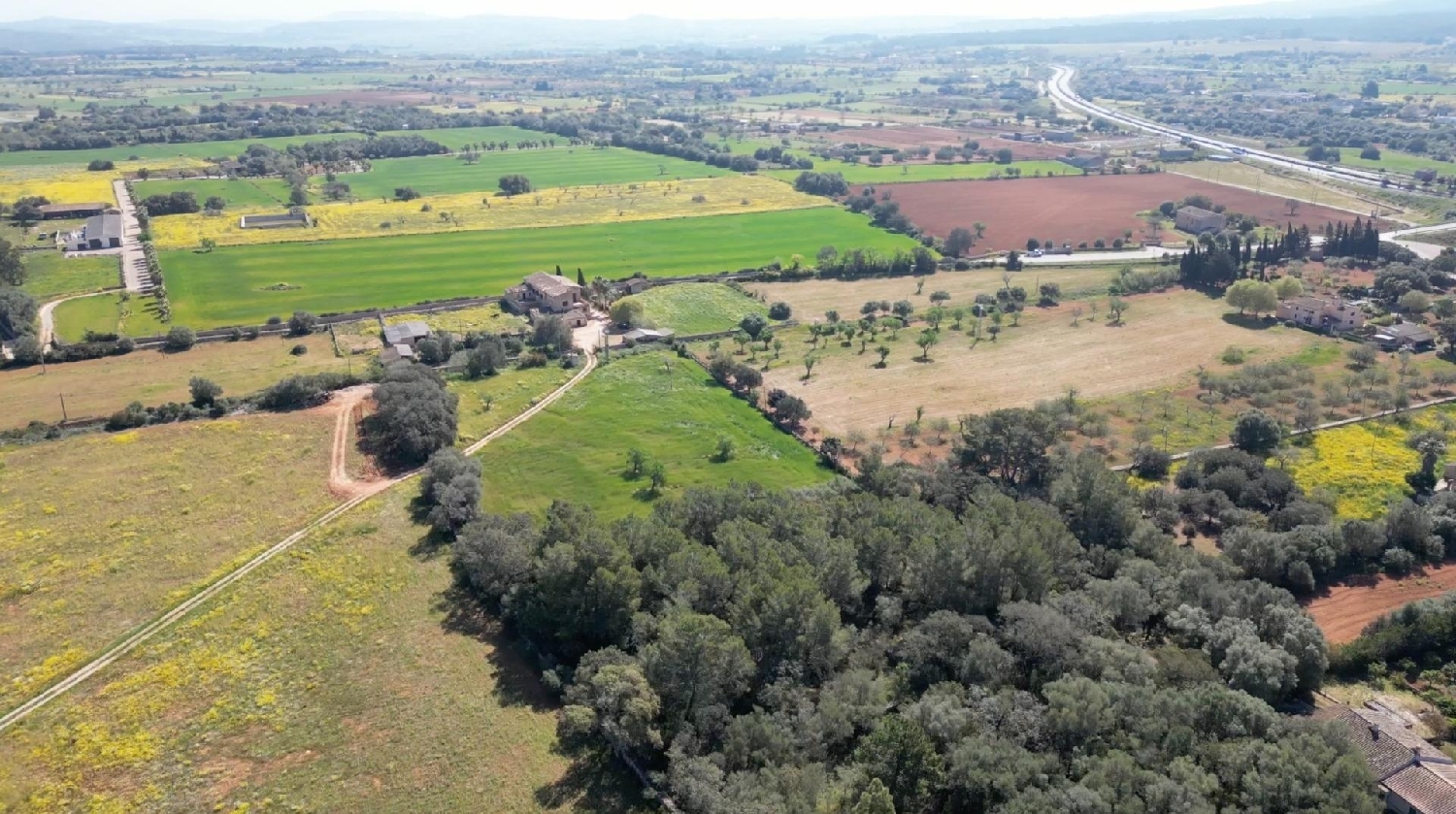  kaufen Landhaus Algaida Pla (Es) 7