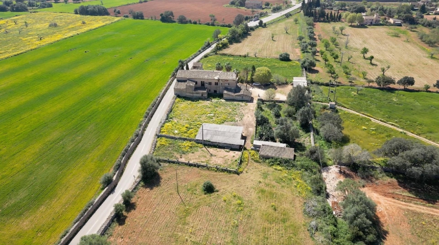  kaufen Landhaus Algaida Pla (Es) 5