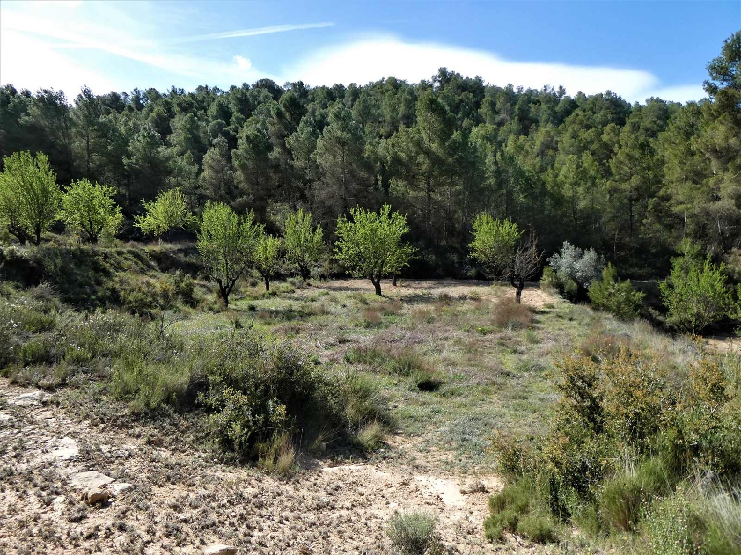  till salu hus på landet Arens De Lledó Matarraña 11