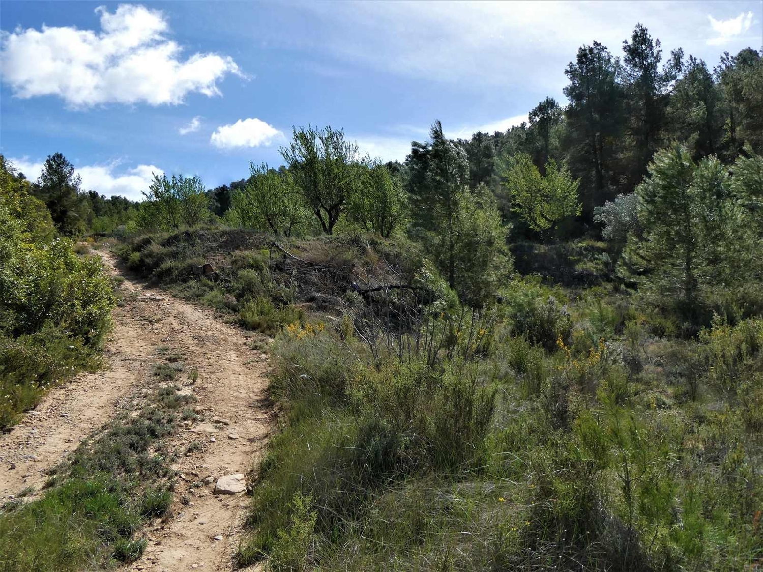  till salu hus på landet Arens De Lledó Matarraña 3