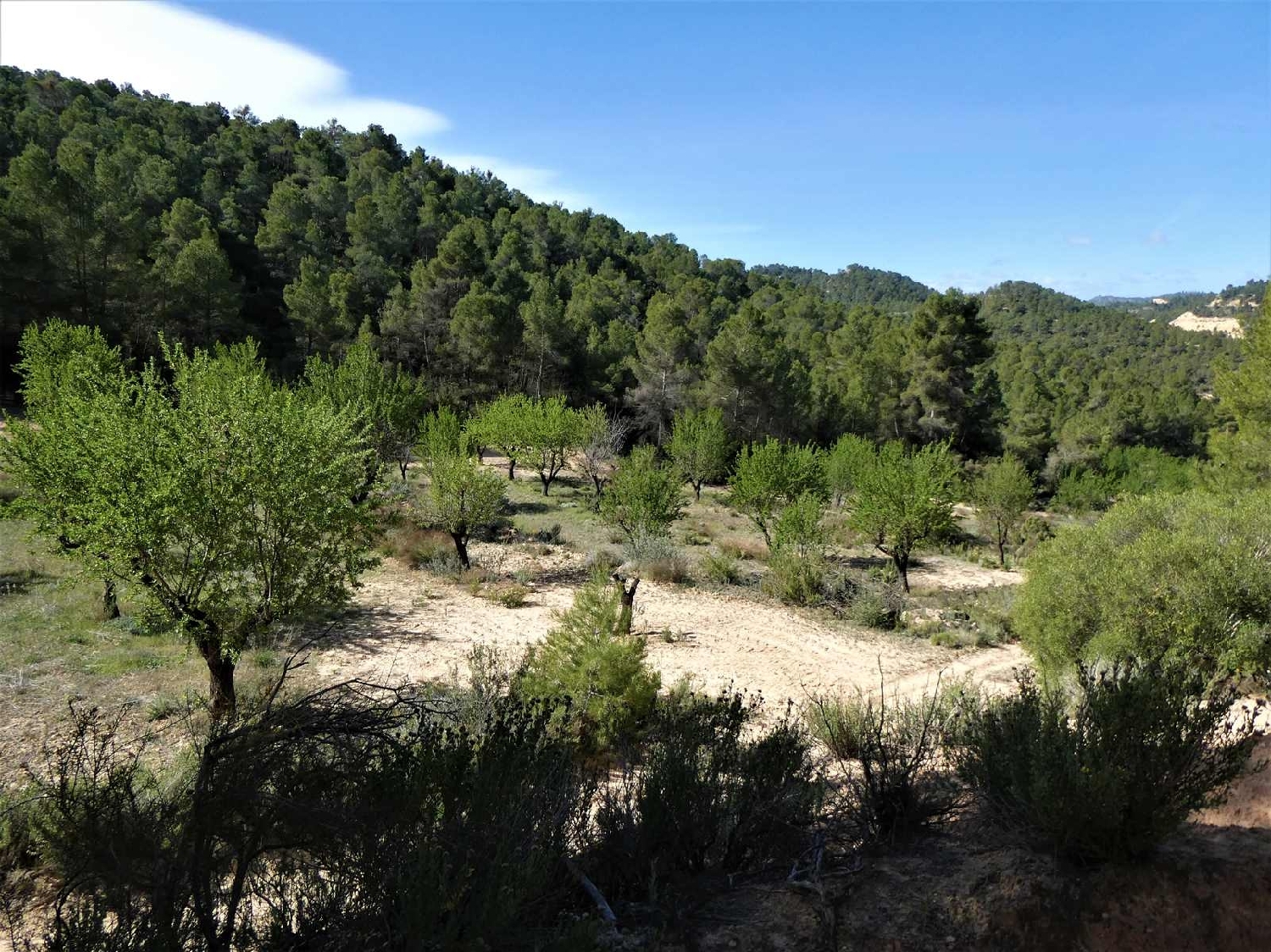  till salu hus på landet Arens De Lledó Matarraña 15