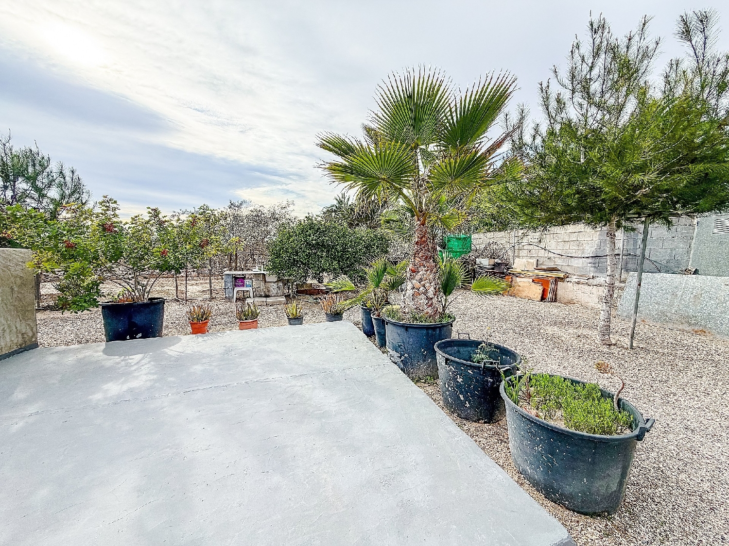  en venta finca rústica Benigembla Marina Alta 15