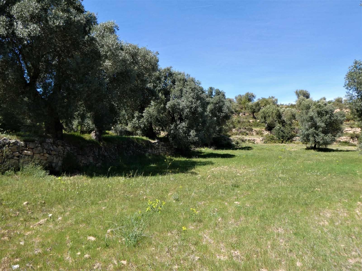  till salu hus på landet Calaceite Matarraña 4