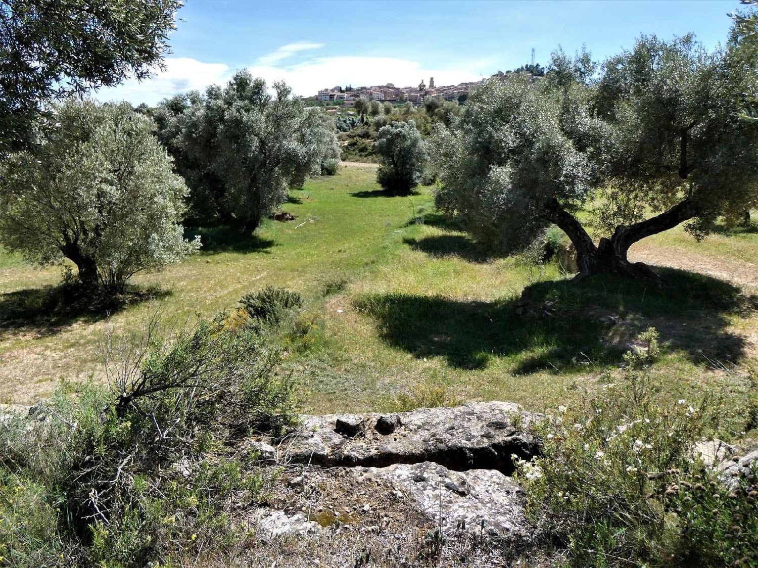  till salu hus på landet Calaceite Matarraña 11