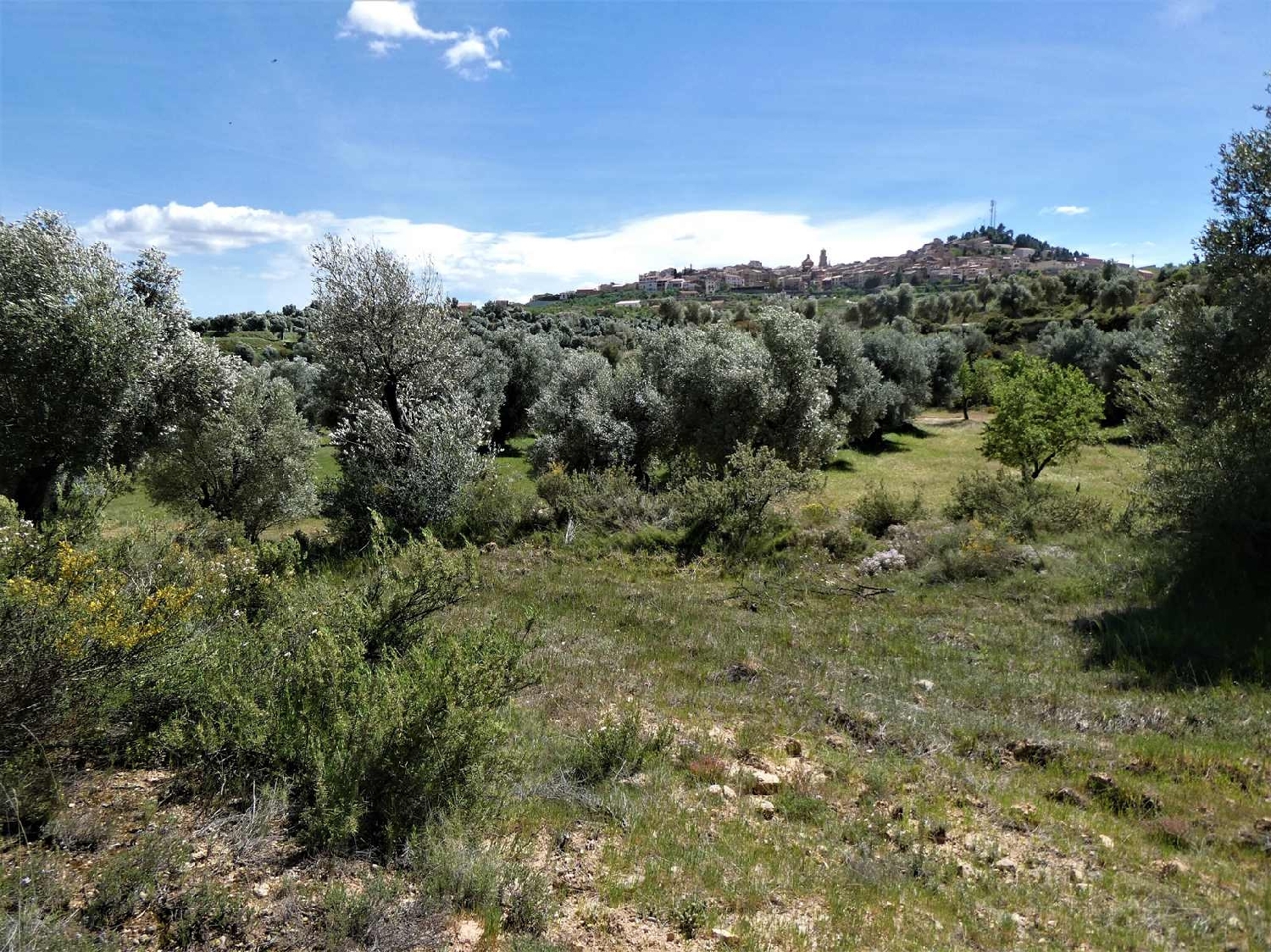  till salu hus på landet Calaceite Matarraña 13