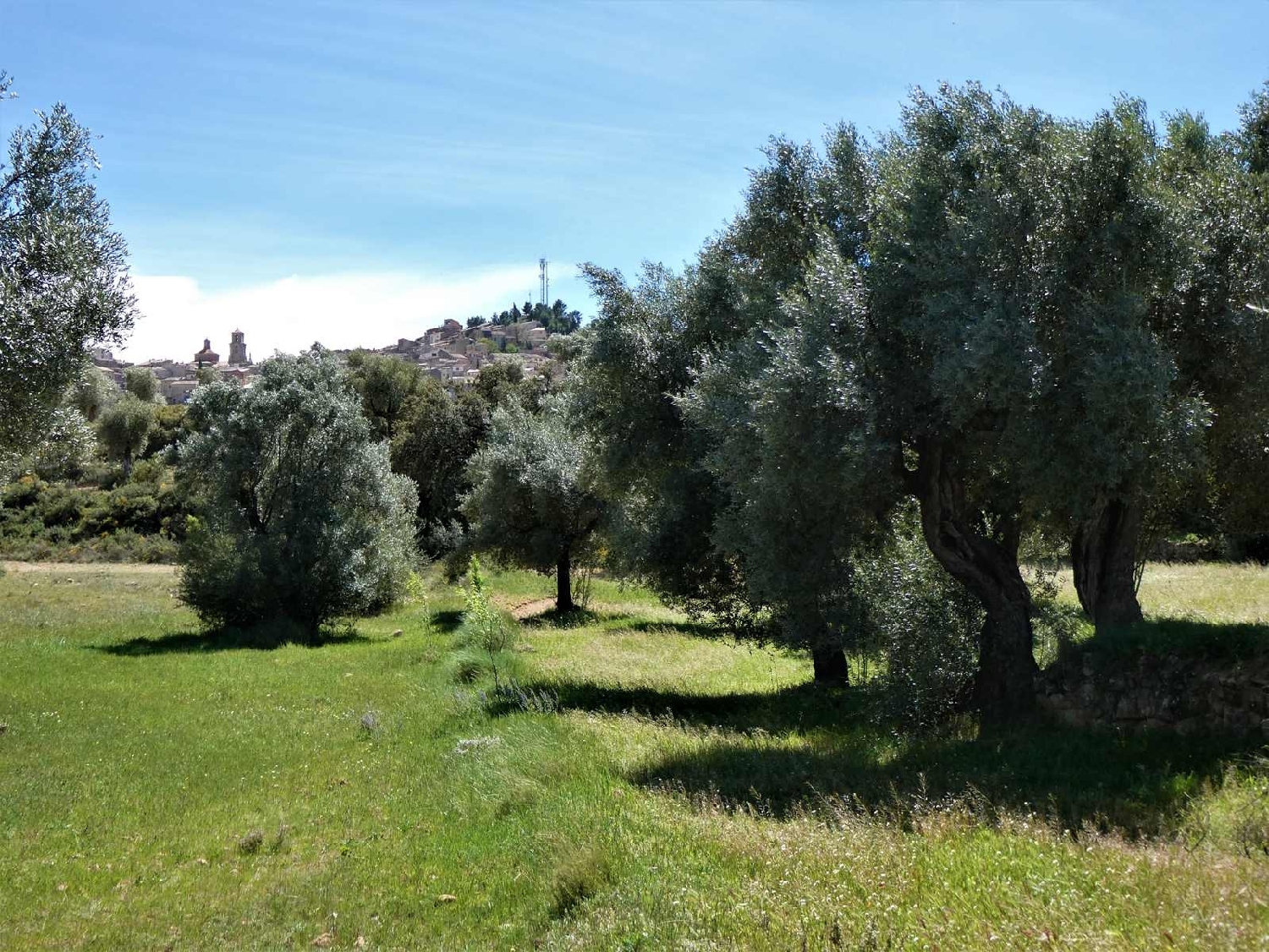  till salu hus på landet Calaceite Matarraña 12