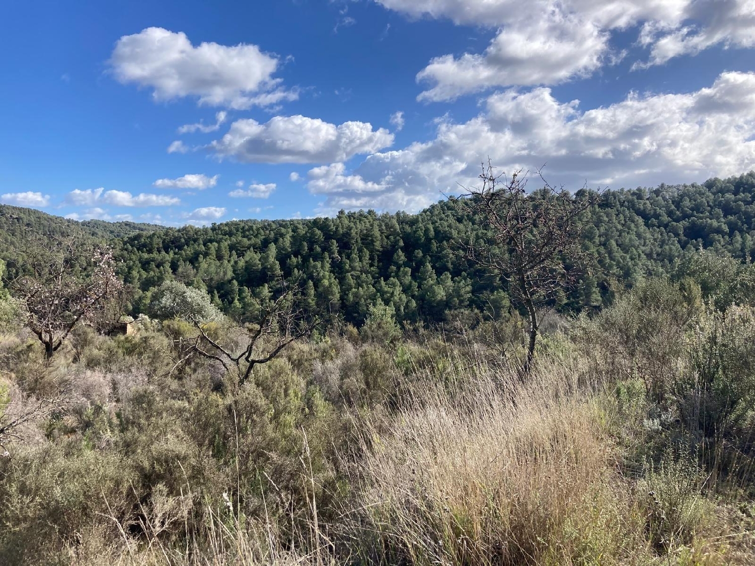  kaufen Landhaus Calaceite Matarraña 7