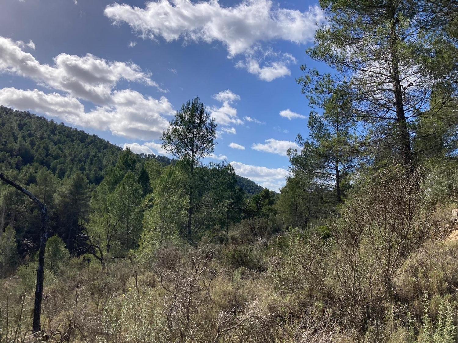  kaufen Landhaus Calaceite Matarraña 6