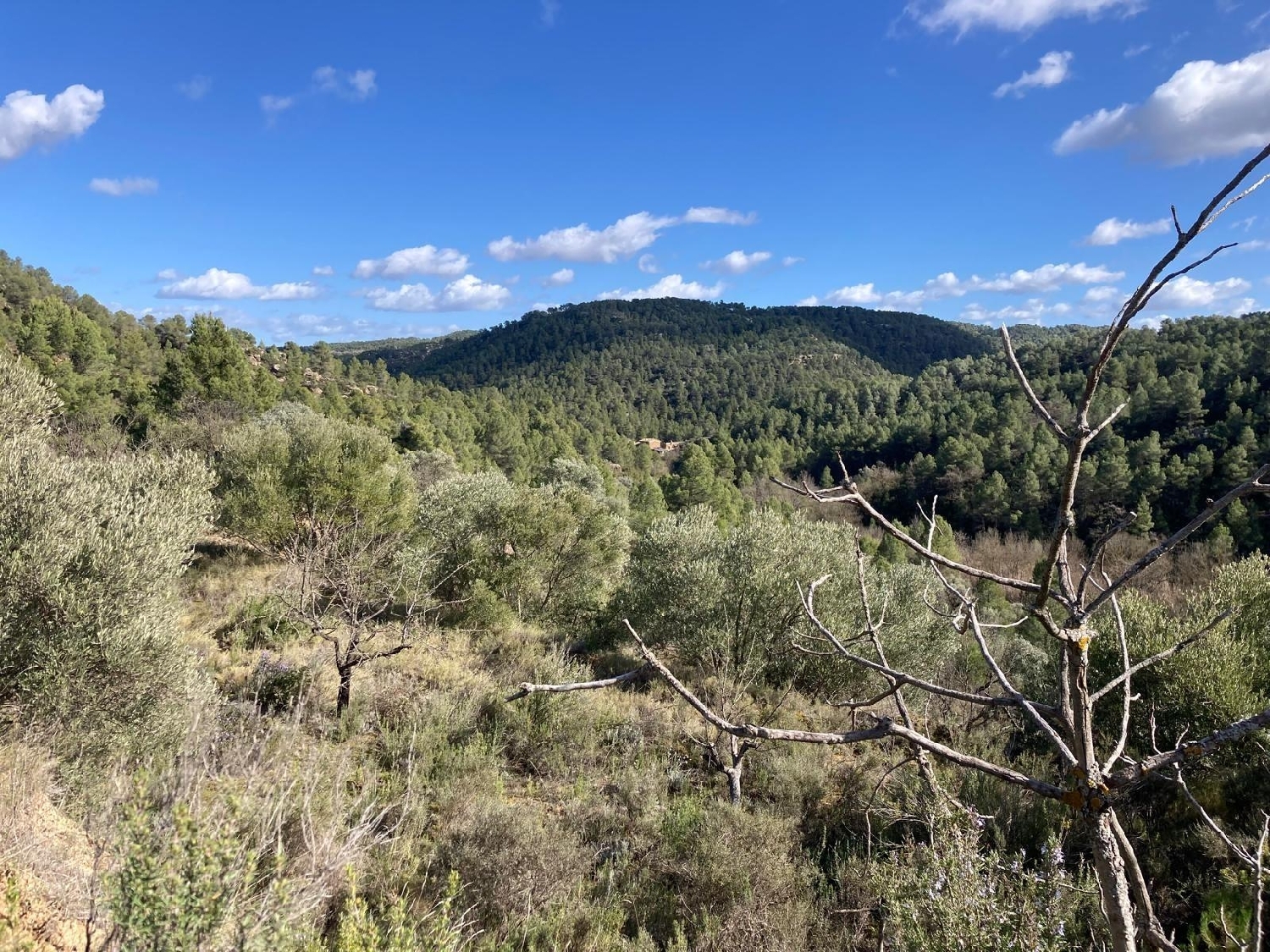  kaufen Landhaus Calaceite Matarraña 5