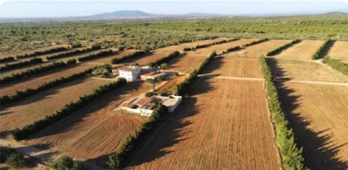 Camarles Baix Ebre hus på landet foto 6345353