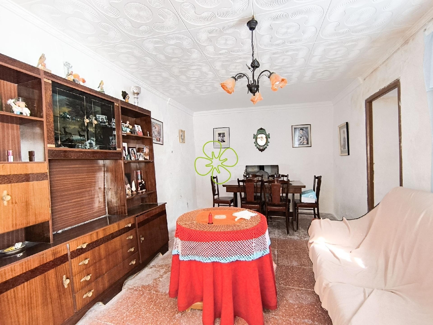  en venta finca rústica Cantoria Valle Del Almanzora 3