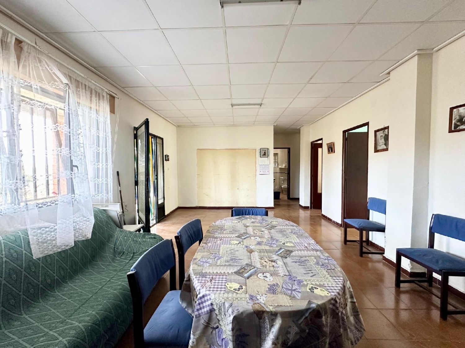  en venta finca rústica Carlet Ribera Alta 5