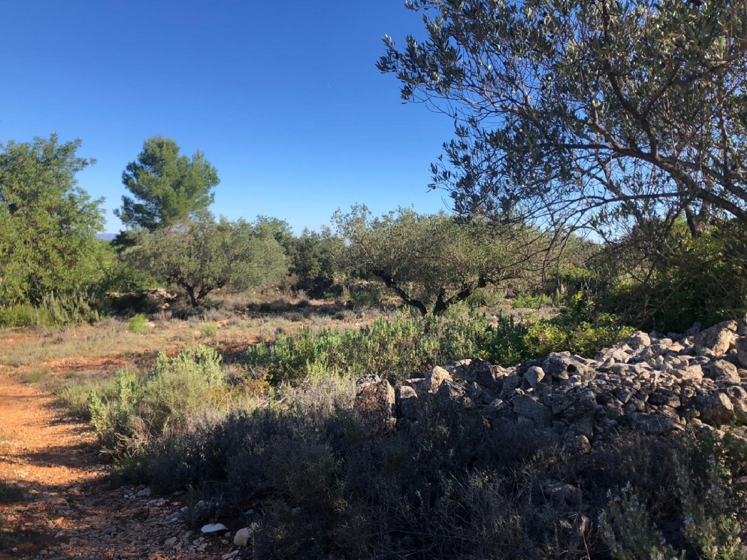  te koop boerderij Chella Canal De Navarrés 5