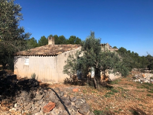 Chella Canal De Navarrés boerderij foto 6346683