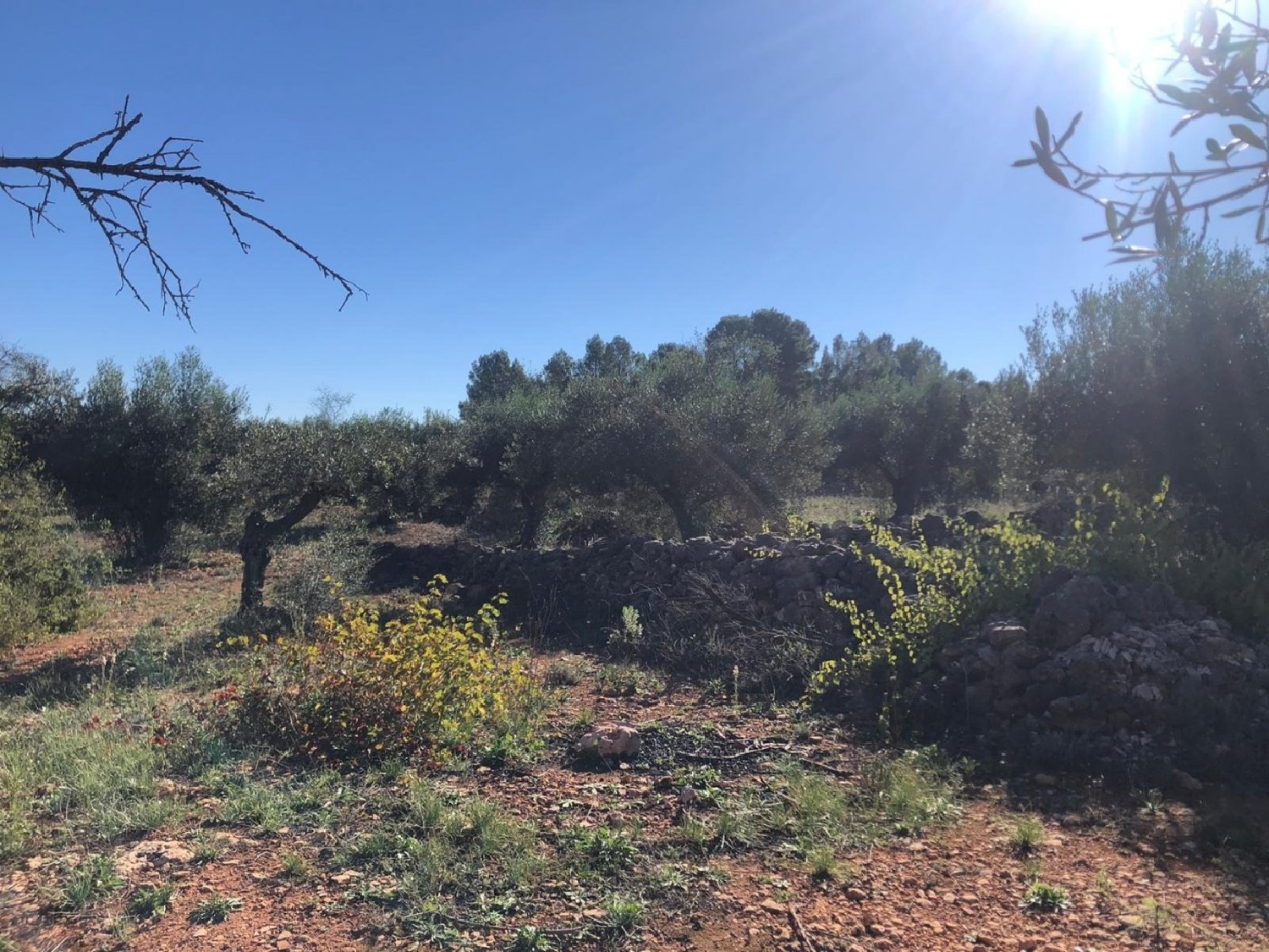  te koop boerderij Chella Canal De Navarrés 4