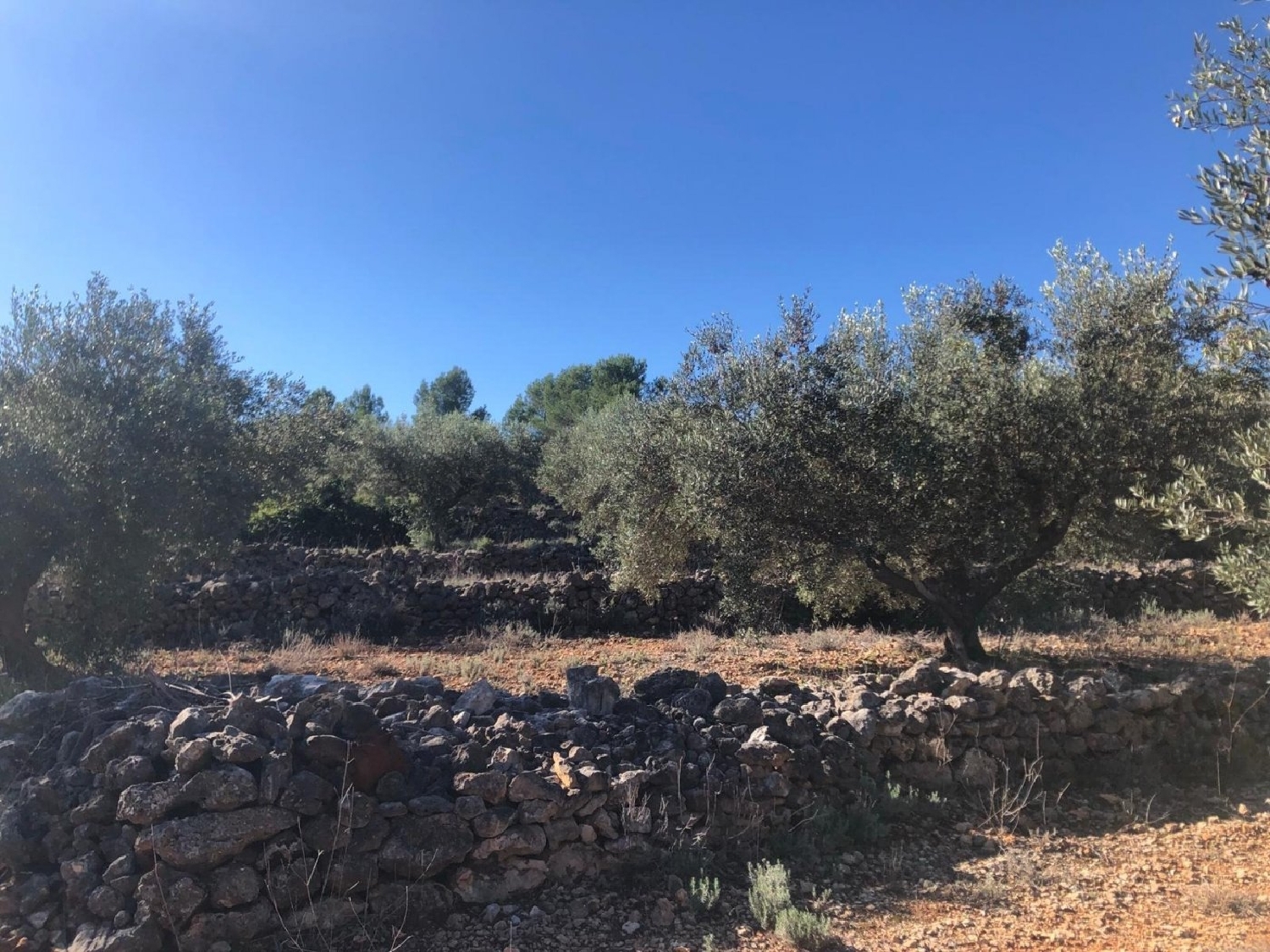  te koop boerderij Chella Canal De Navarrés 2