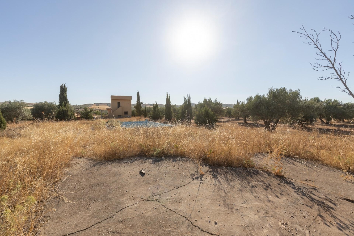  for sale country house Chimeneas Alhama 6