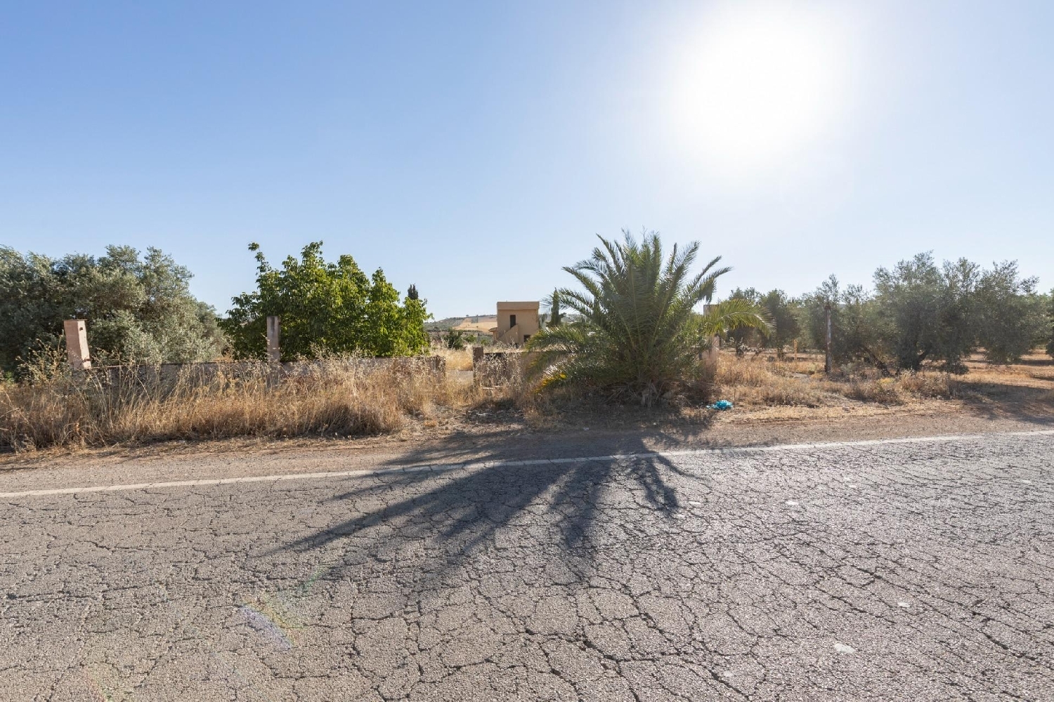  for sale country house Chimeneas Alhama 7