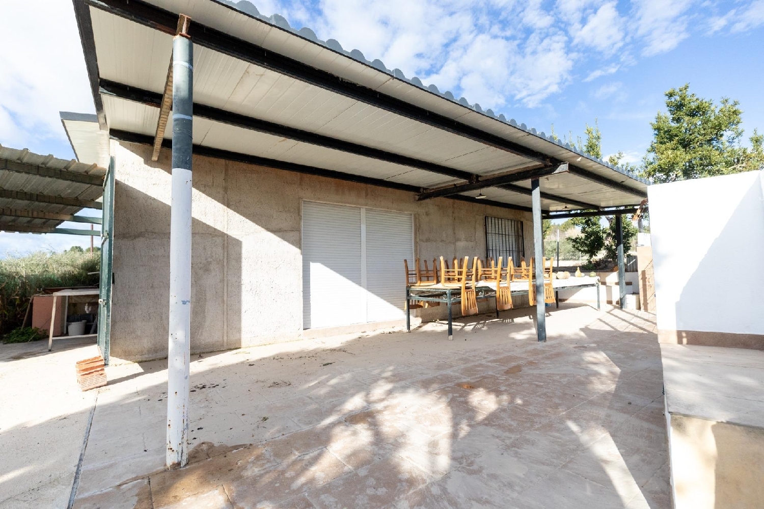  en venta finca rústica Cieza Vega Alta Del Segura 5