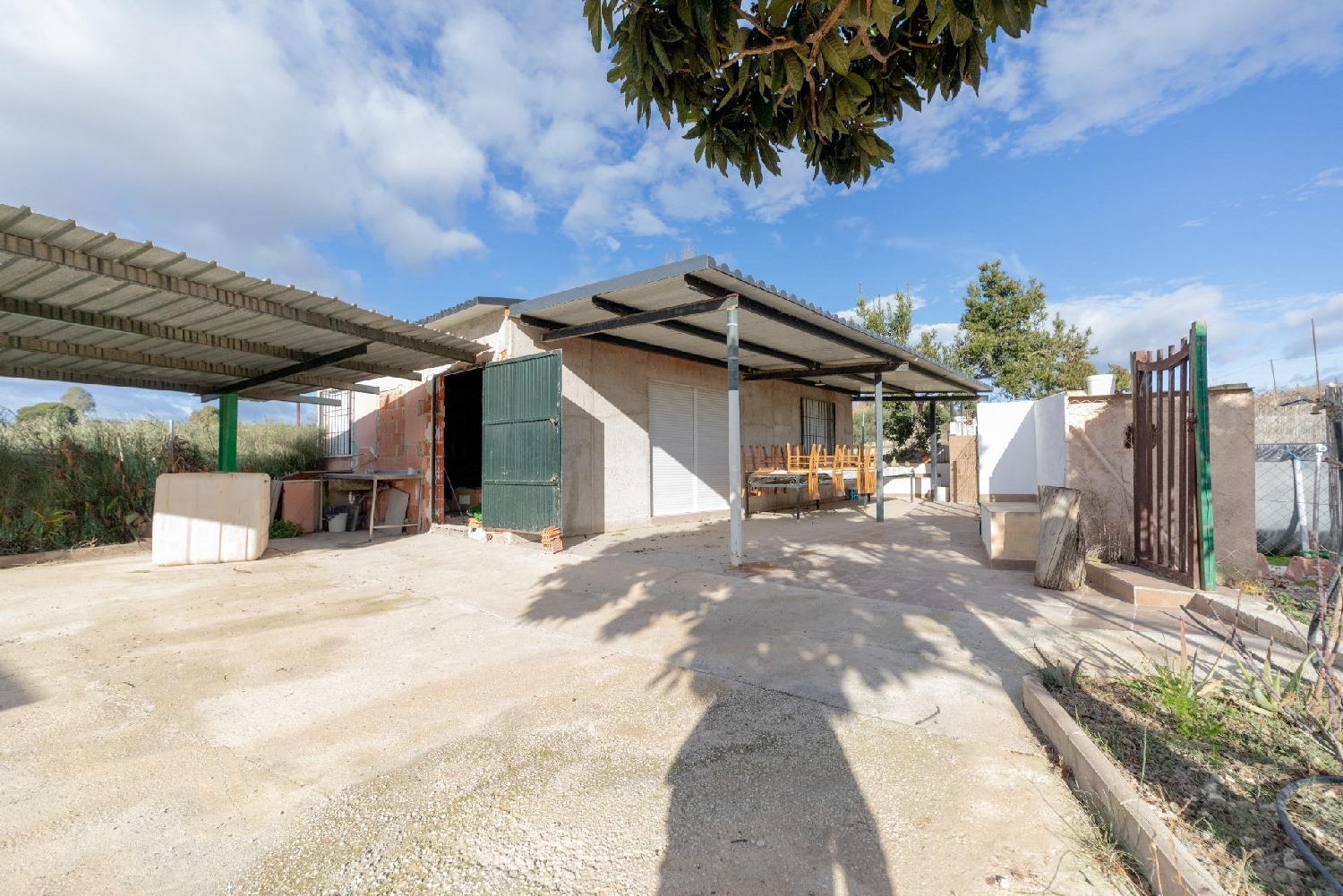  en venta finca rústica Cieza Vega Alta Del Segura 6