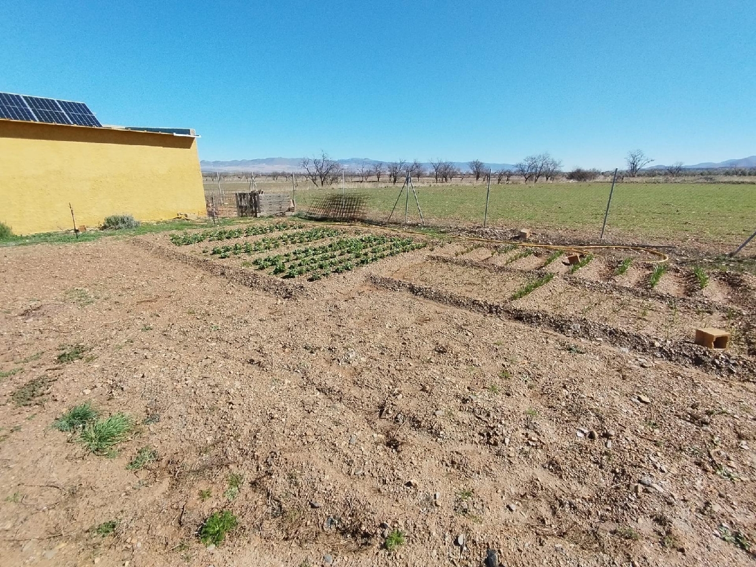 till salu hus på landet Cogollos De Guadix Accitania 7