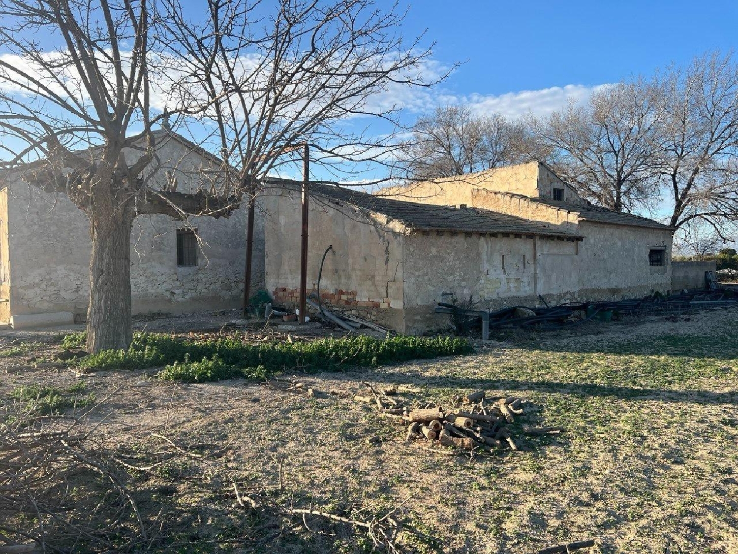  en venta finca rústica Daya Nueva Baix Segura 3