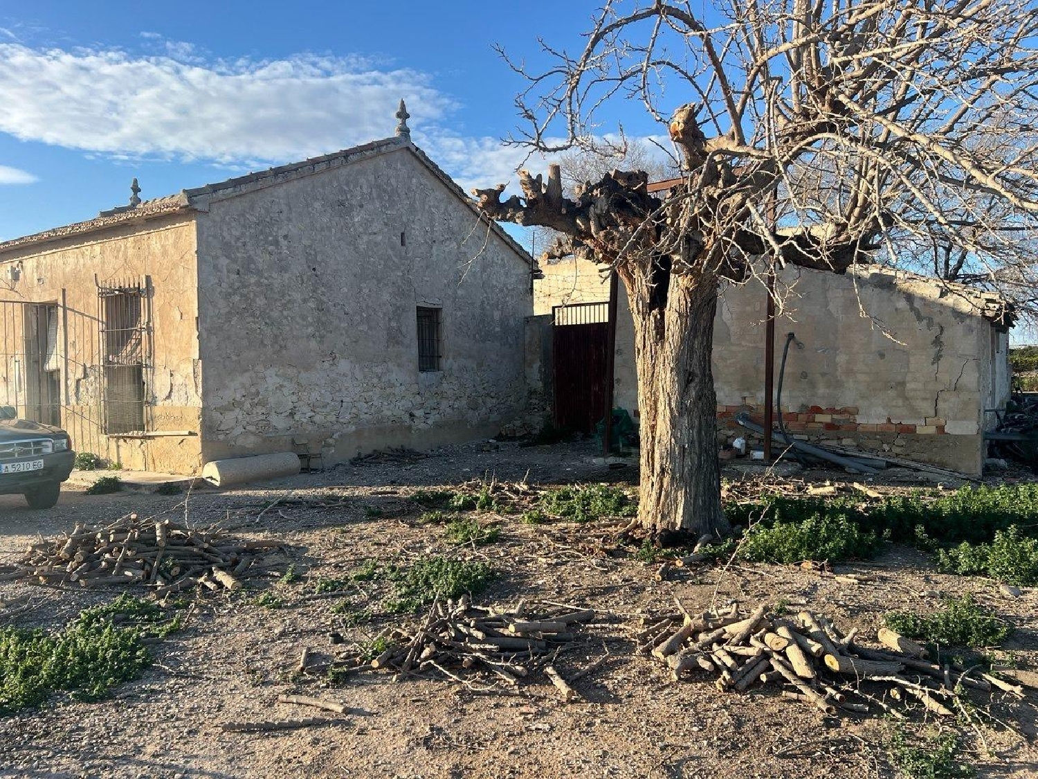  en venta finca rústica Daya Nueva Baix Segura 6