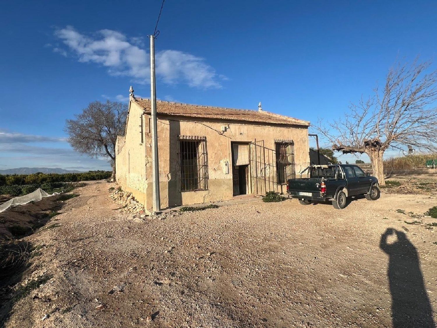  en venta finca rústica Daya Nueva Baix Segura 1