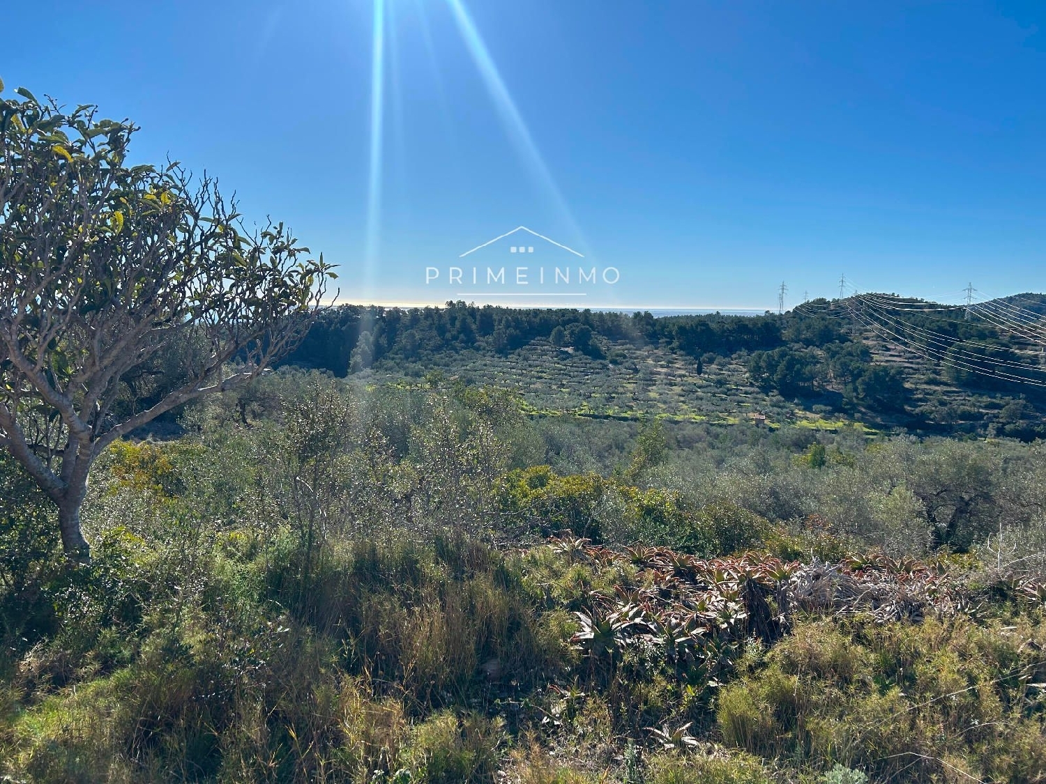  till salu hus på landet El Perelló Baix Ebre 27