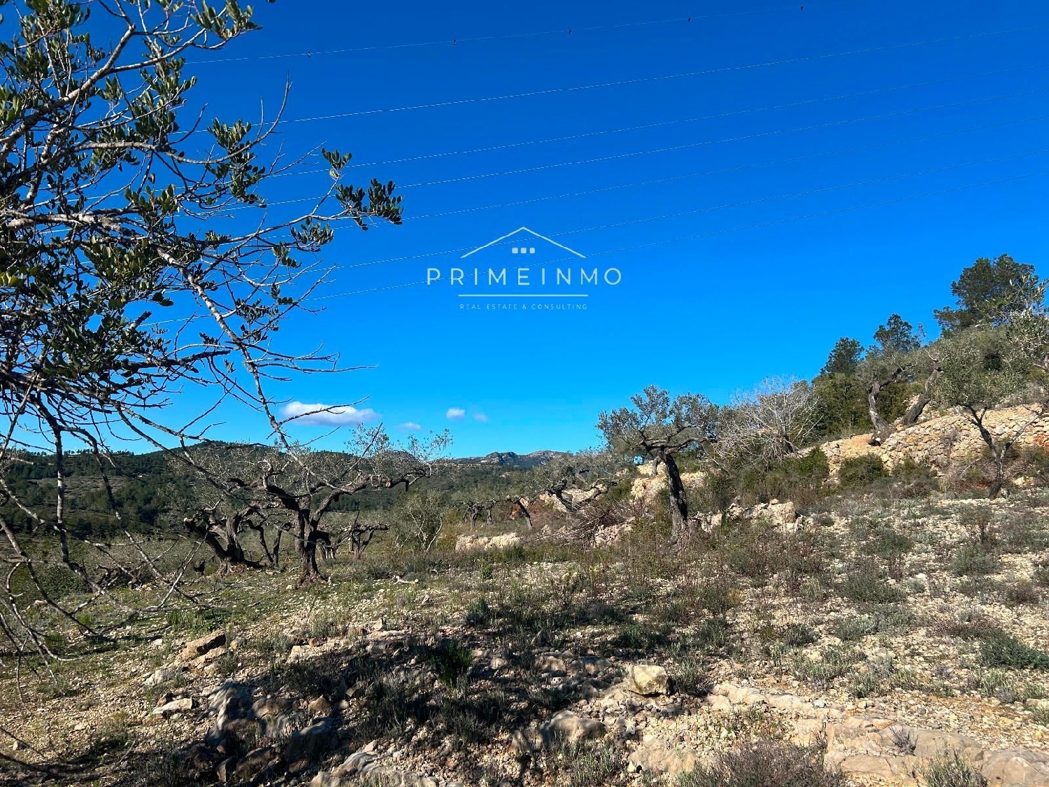  till salu hus på landet El Perelló Baix Ebre 8