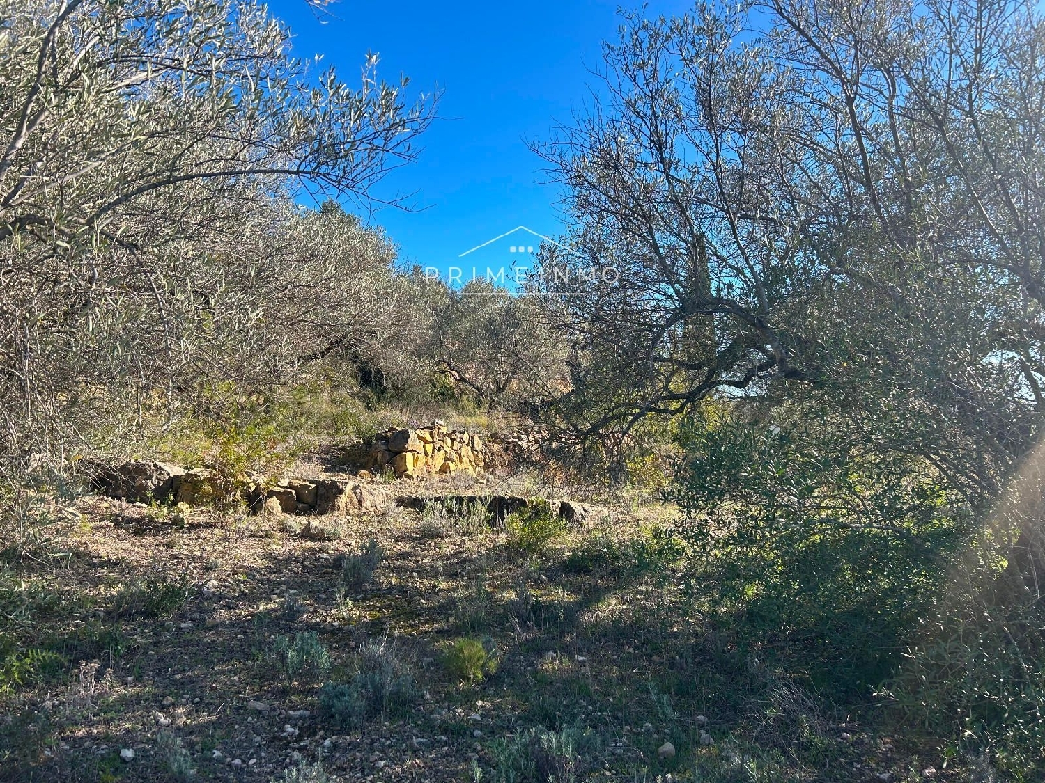  till salu hus på landet El Perelló Baix Ebre 9