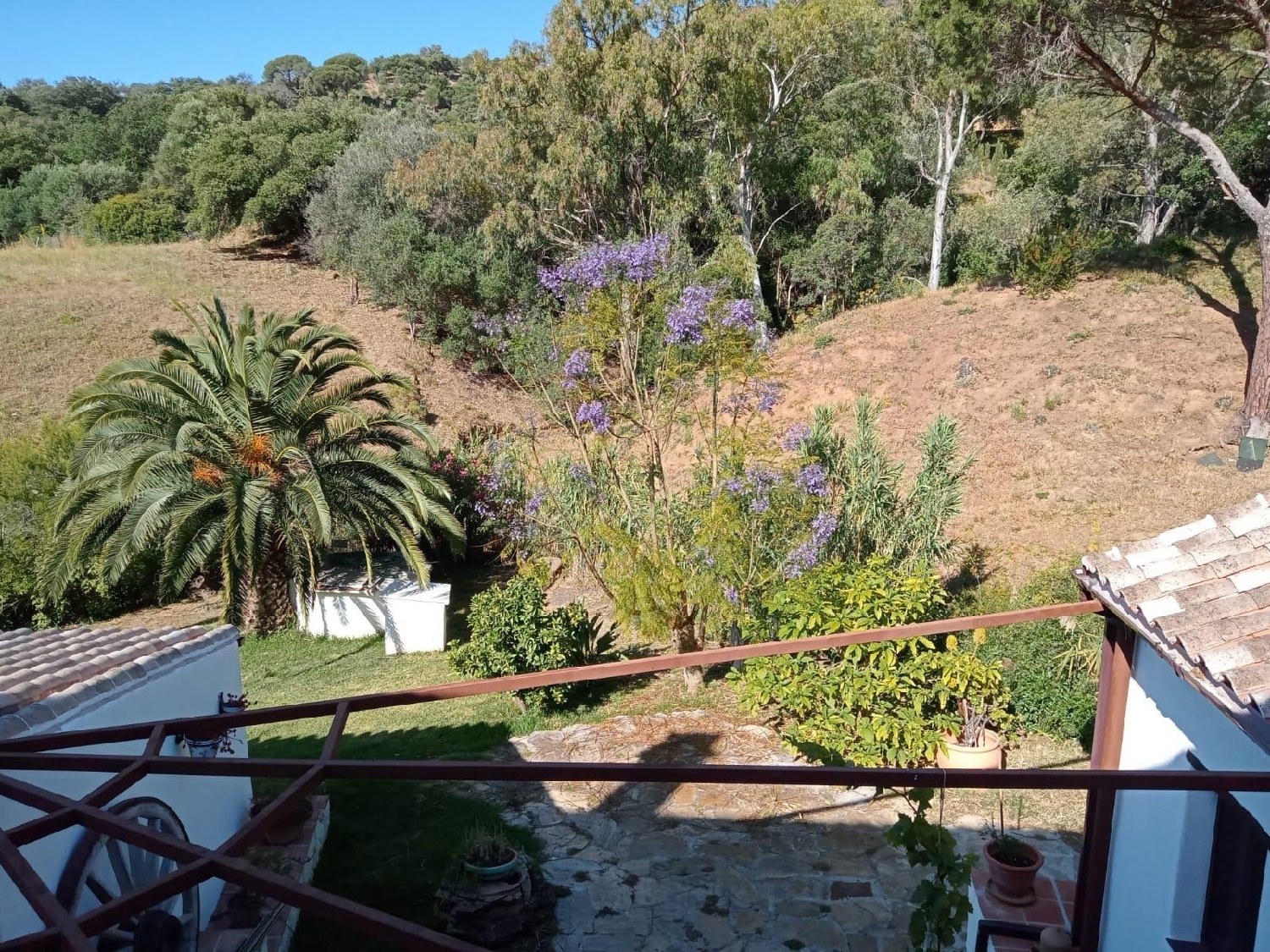  en venta finca rústica Estepona Costa Del Sol Occidental 3