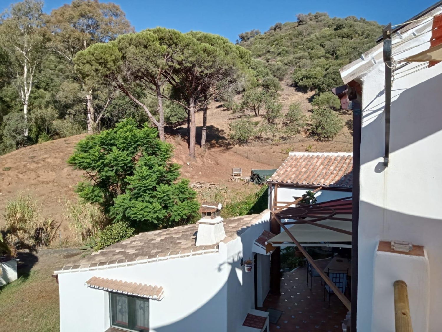  en venta finca rústica Estepona Costa Del Sol Occidental 2