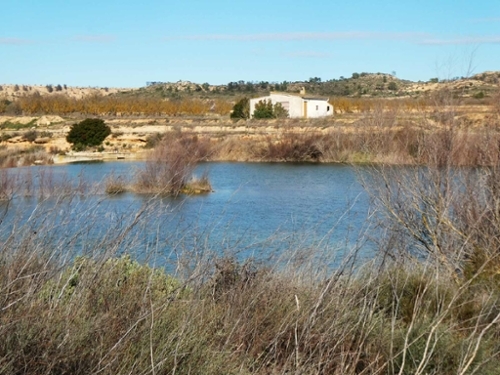 Fabara Bajo Aragón-Caspe country house foto 6351823