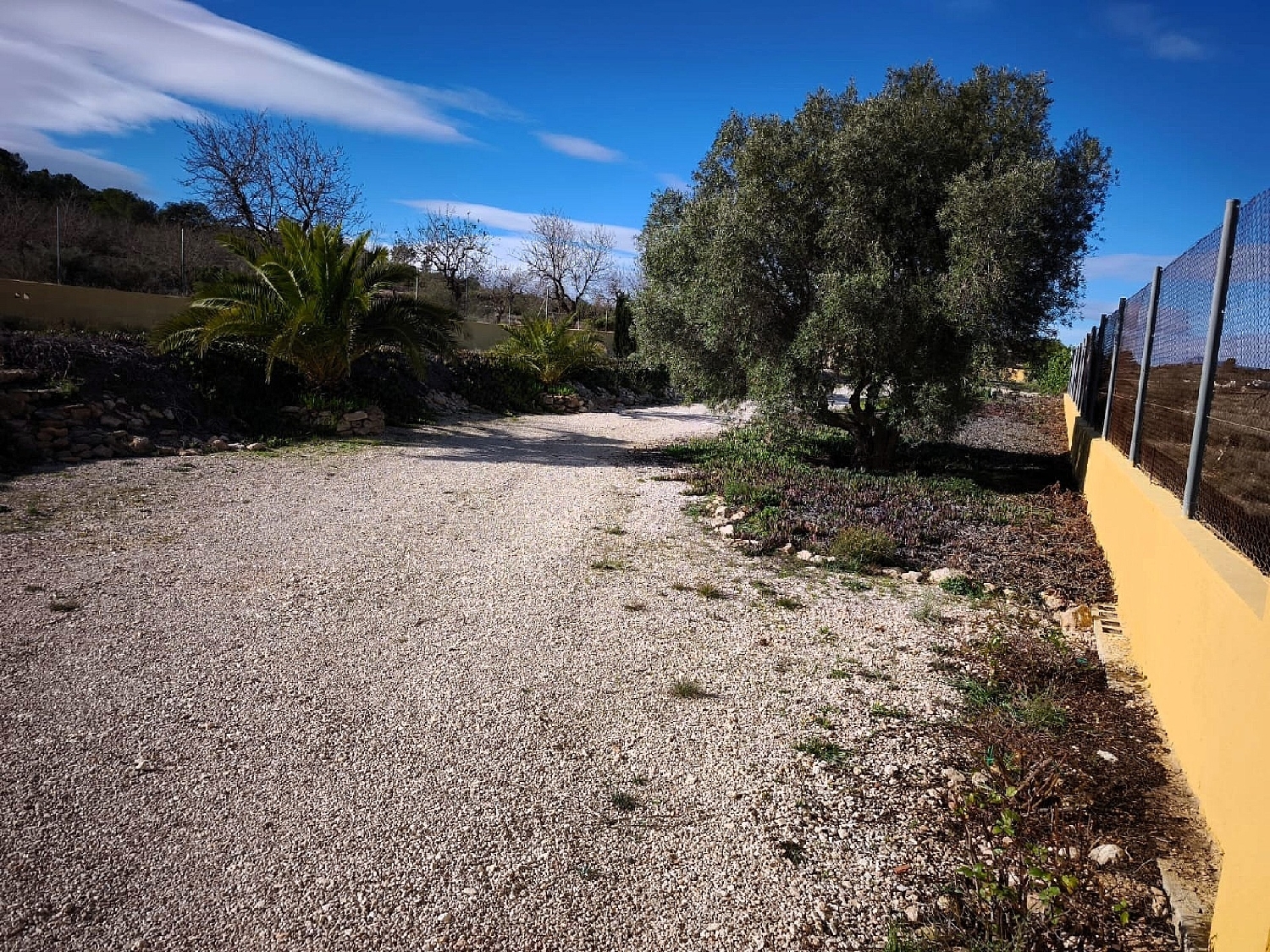  en venta finca rústica Hondón De Los Frailes Vinalopó Mitjà 23