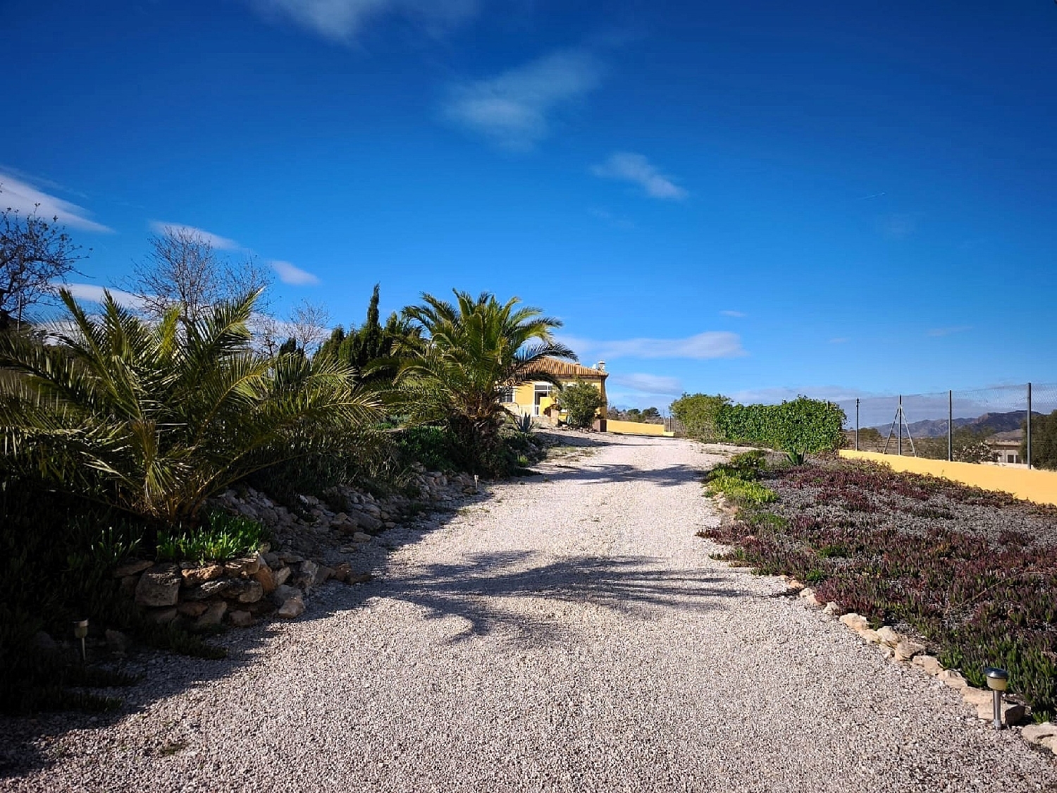  en venta finca rústica Hondón De Los Frailes Vinalopó Mitjà 27
